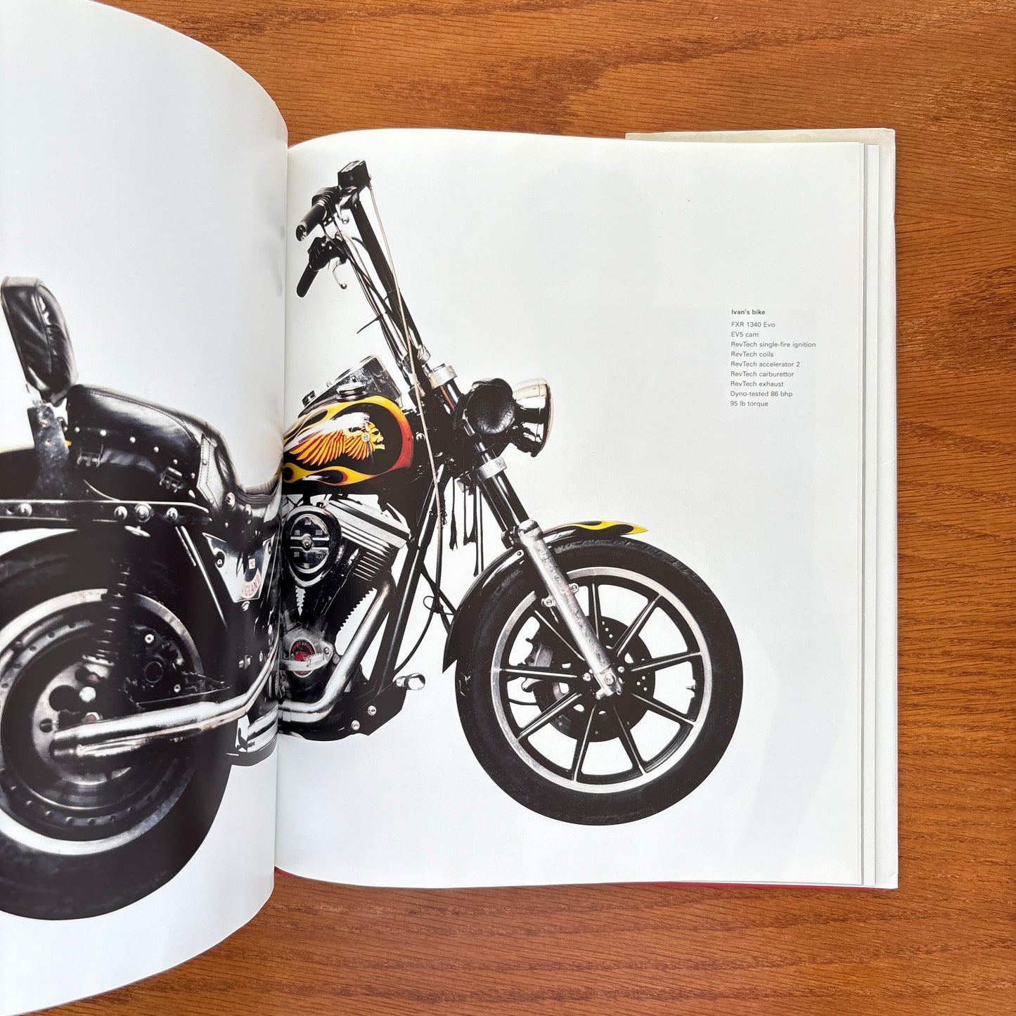Hells Angels Motorcycle Club - Andrew Shaylor