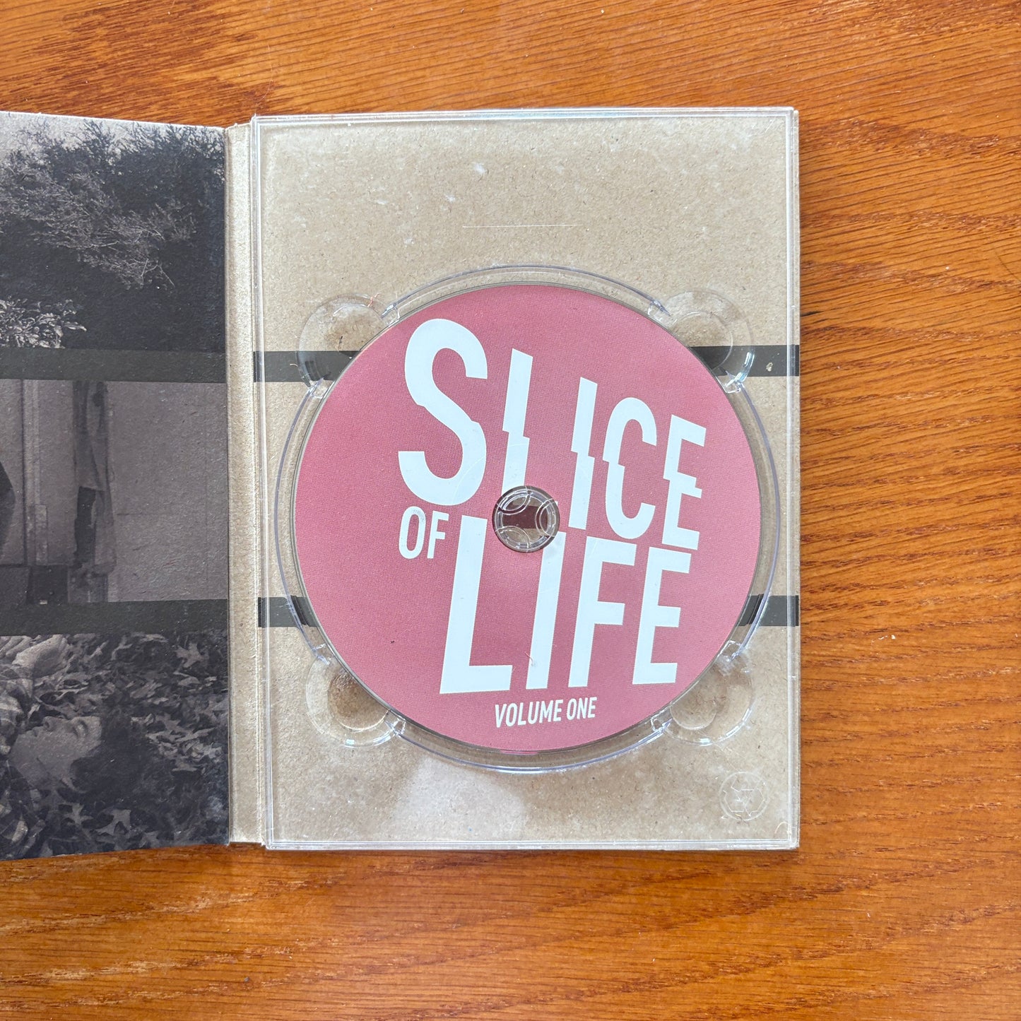 Slice Of Life