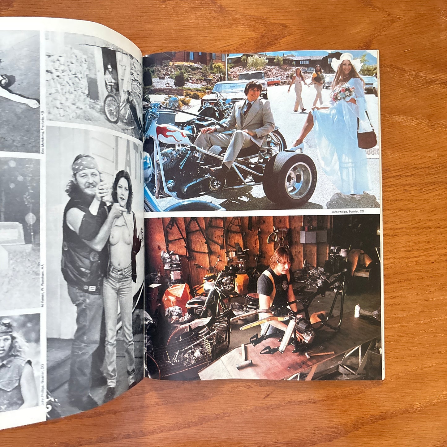 Supercycle Feb 1982