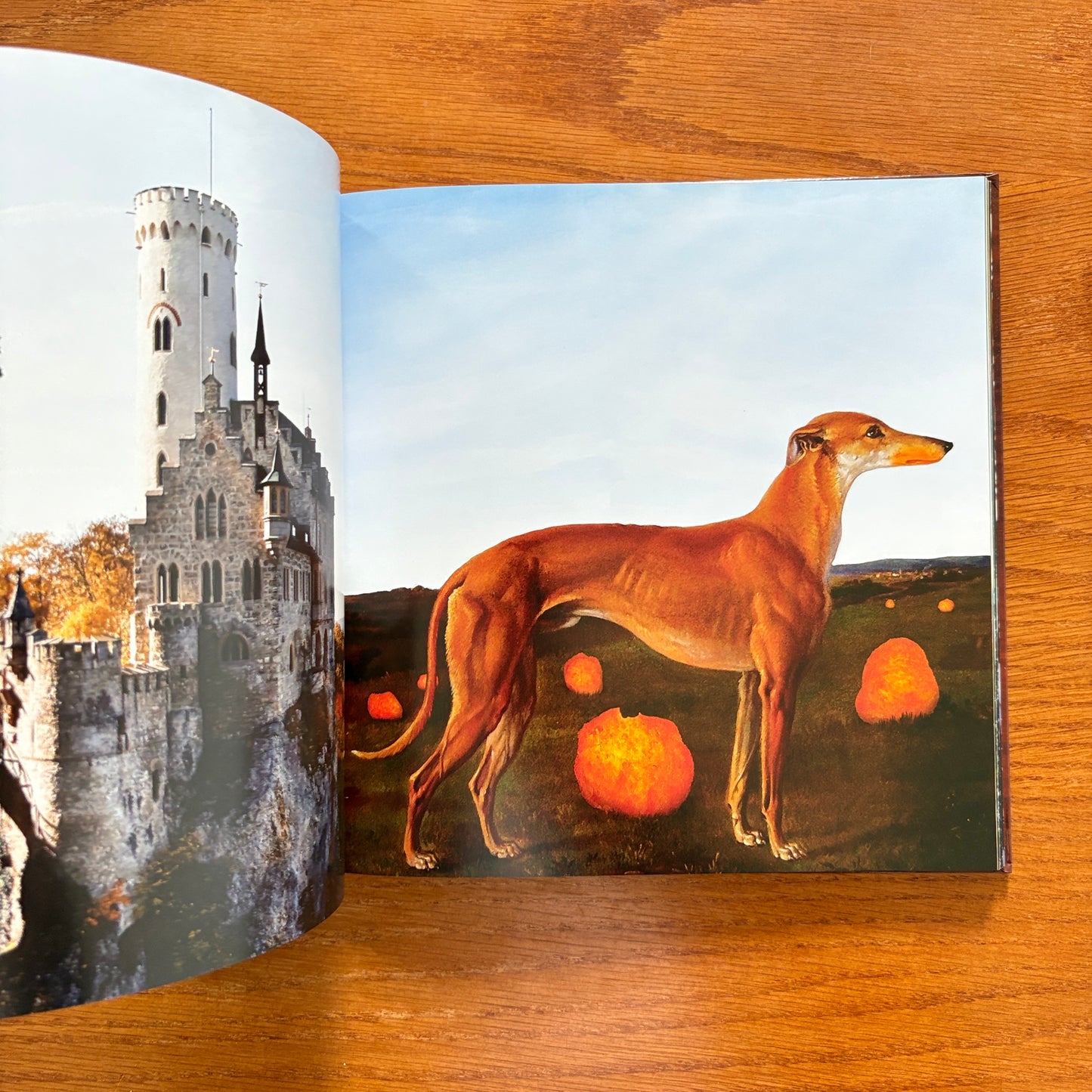 Stoner Coffee Table Book