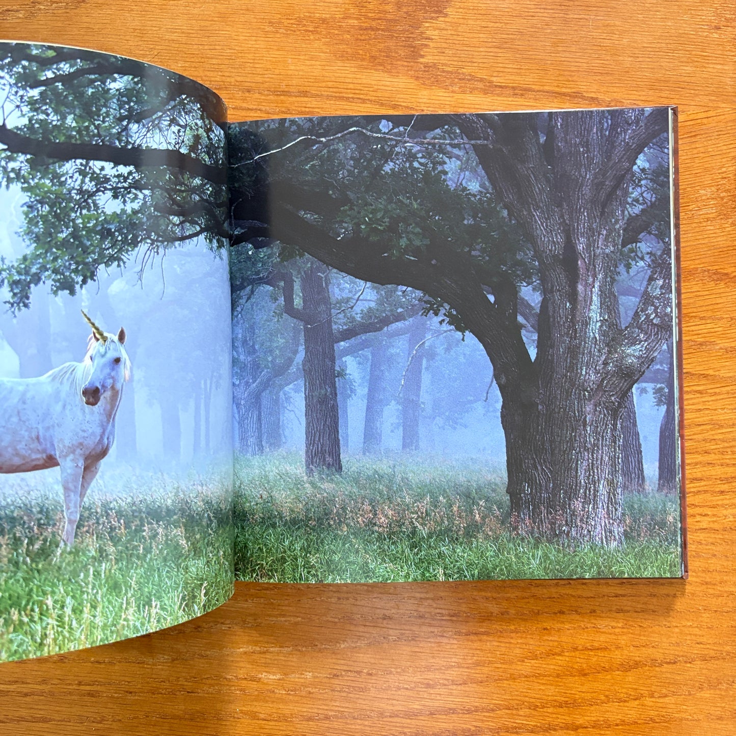 Stoner Coffee Table Book