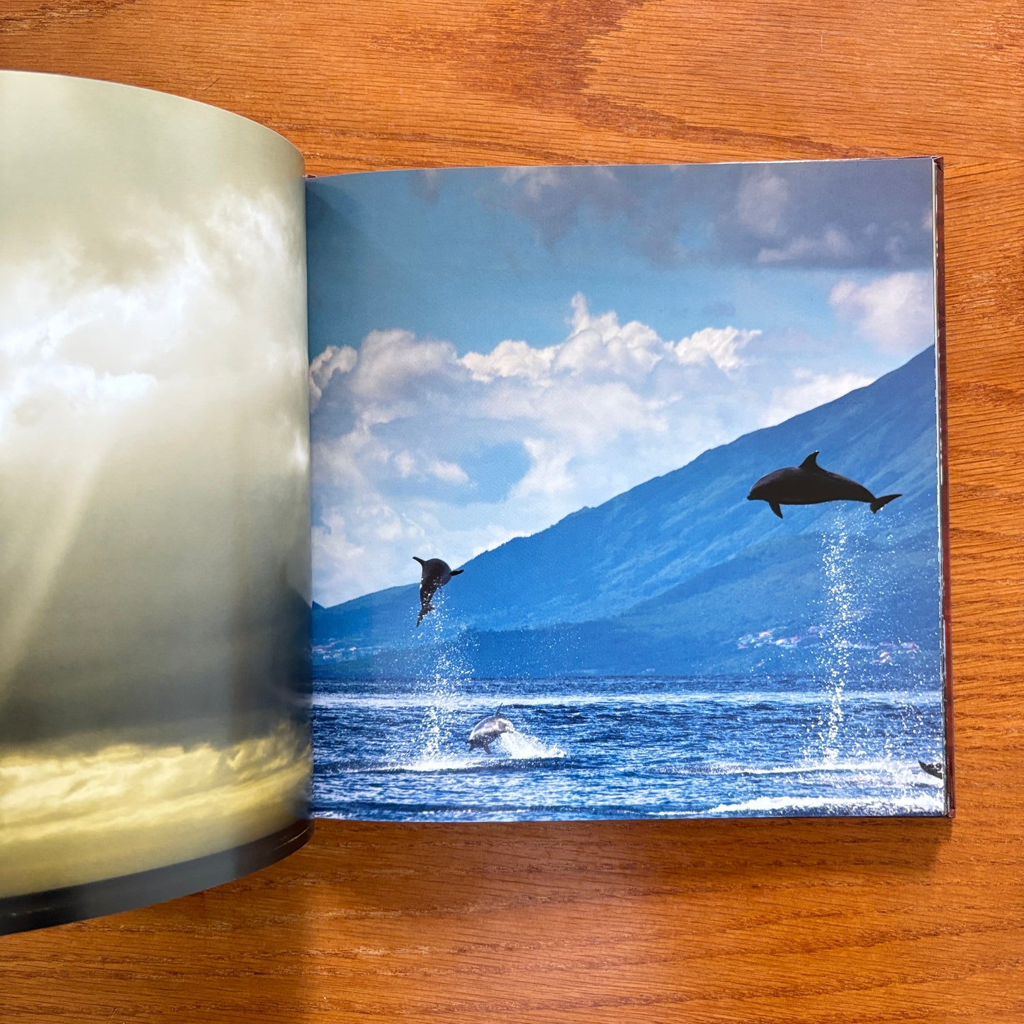Stoner Coffee Table Book