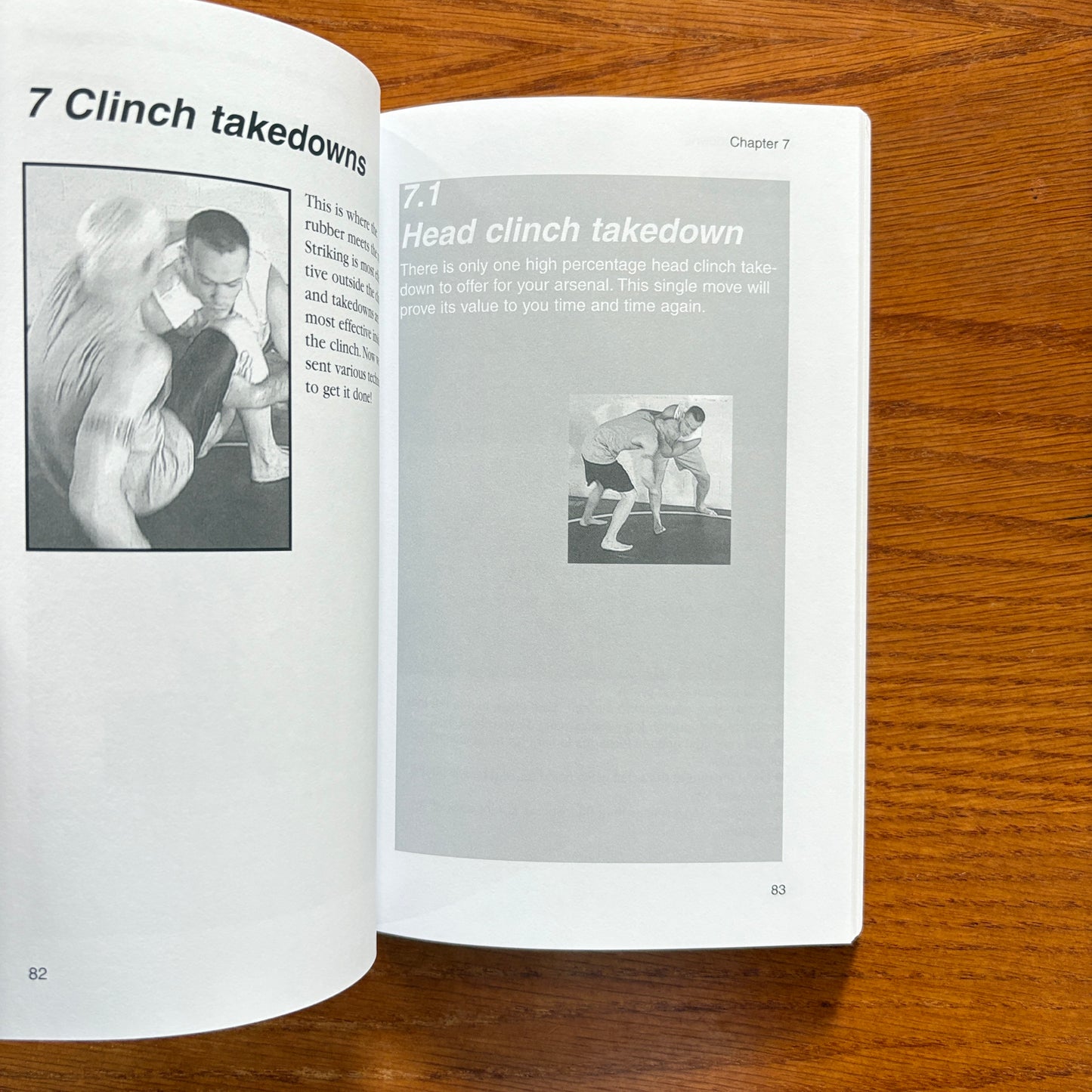 No Holds Barred Fighting: The Clinch - Mark Hatmaker