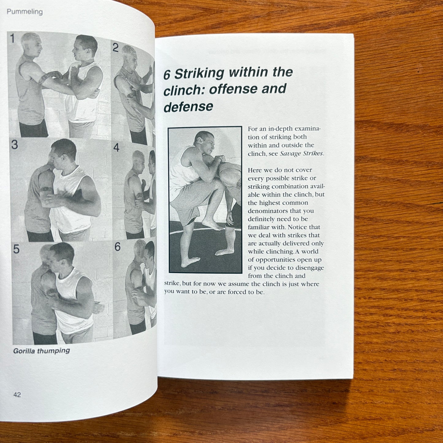 No Holds Barred Fighting: The Clinch - Mark Hatmaker