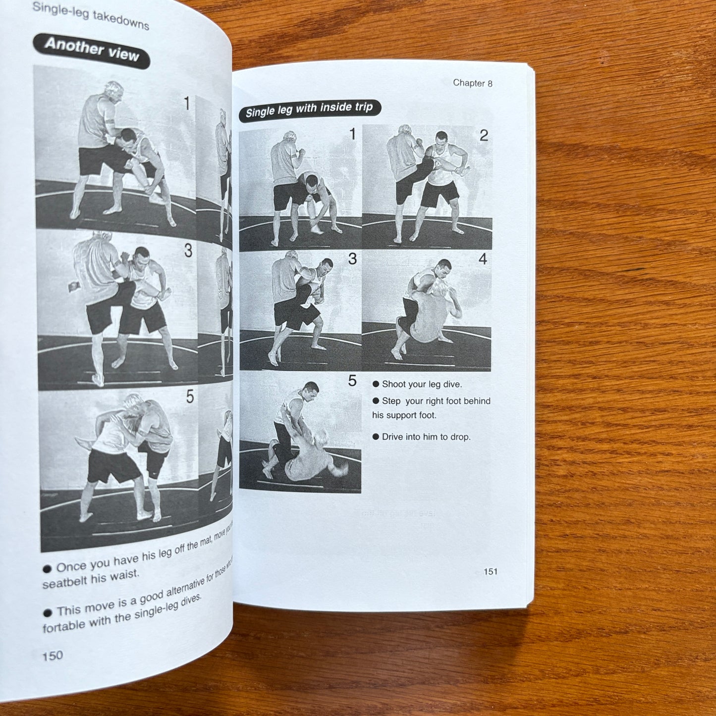 No Holds Barred Fighting: Takedowns - Mark Hatmaker