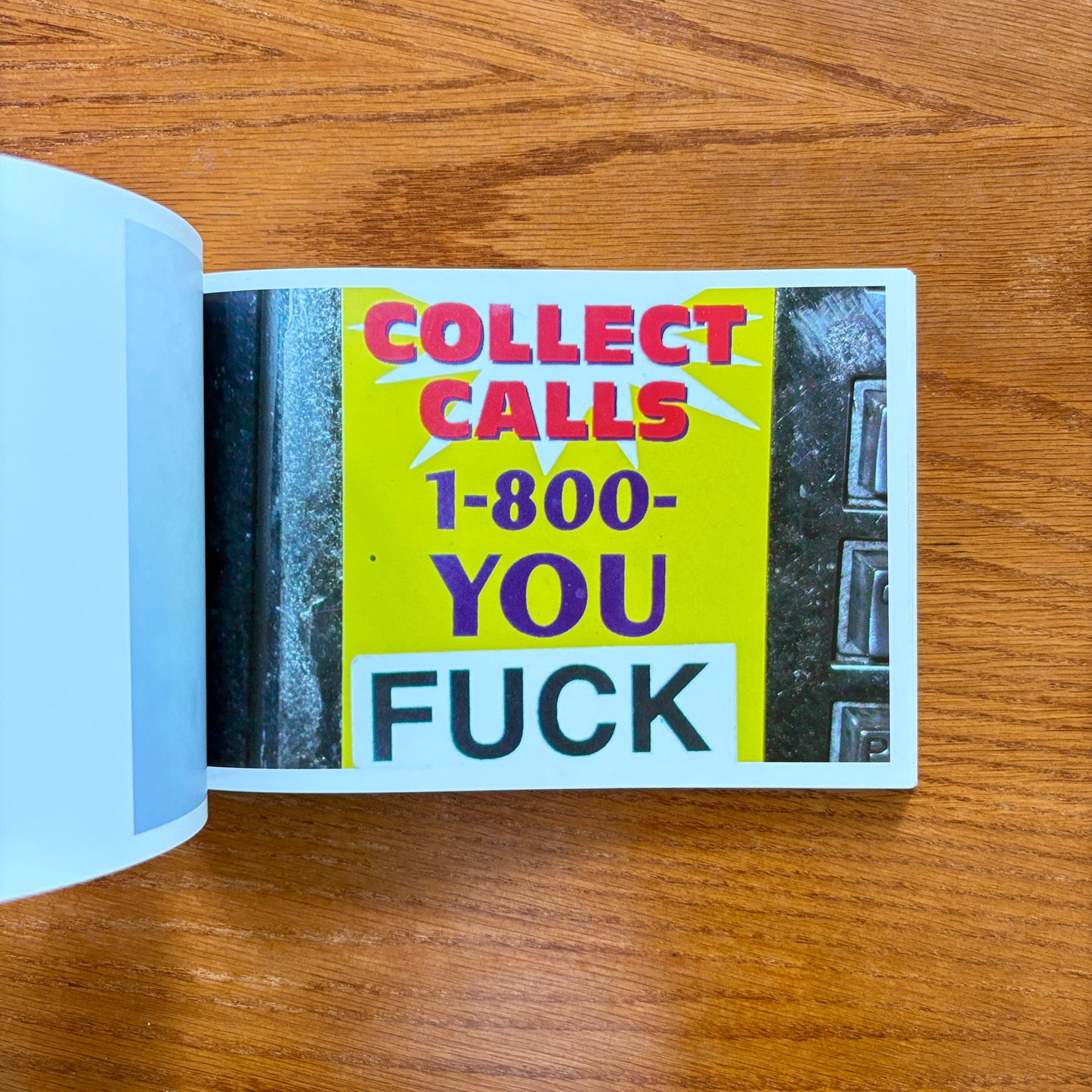 FUCK This Book - Bodhi Oser