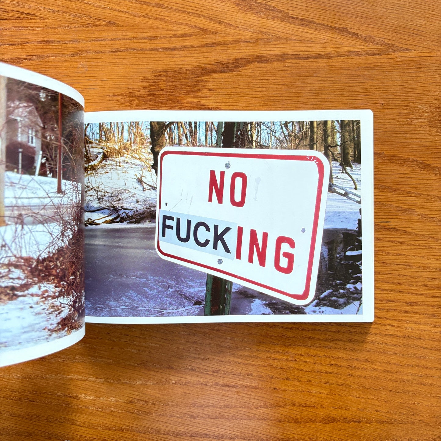 FUCK This Book - Bodhi Oser