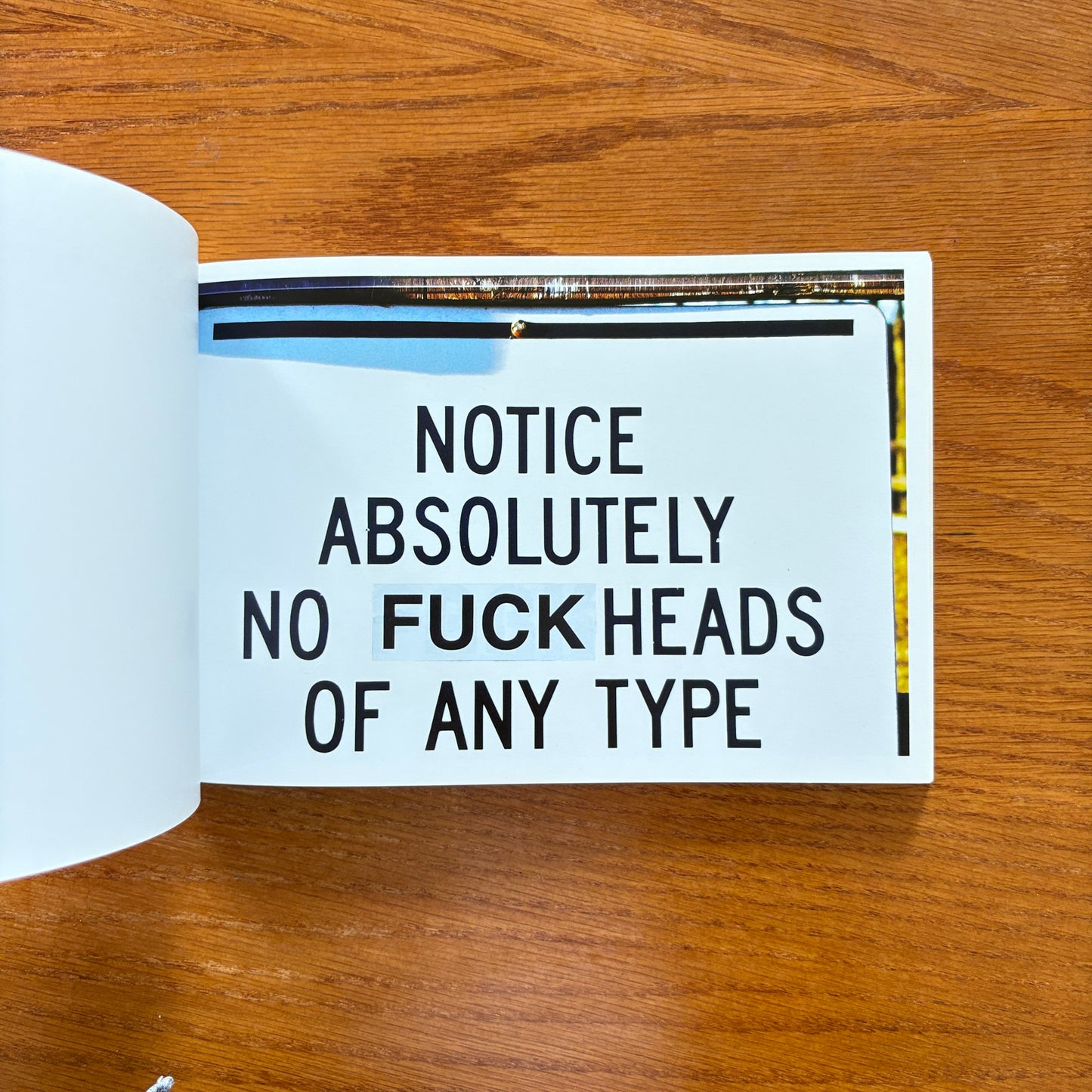 FUCK This Book - Bodhi Oser