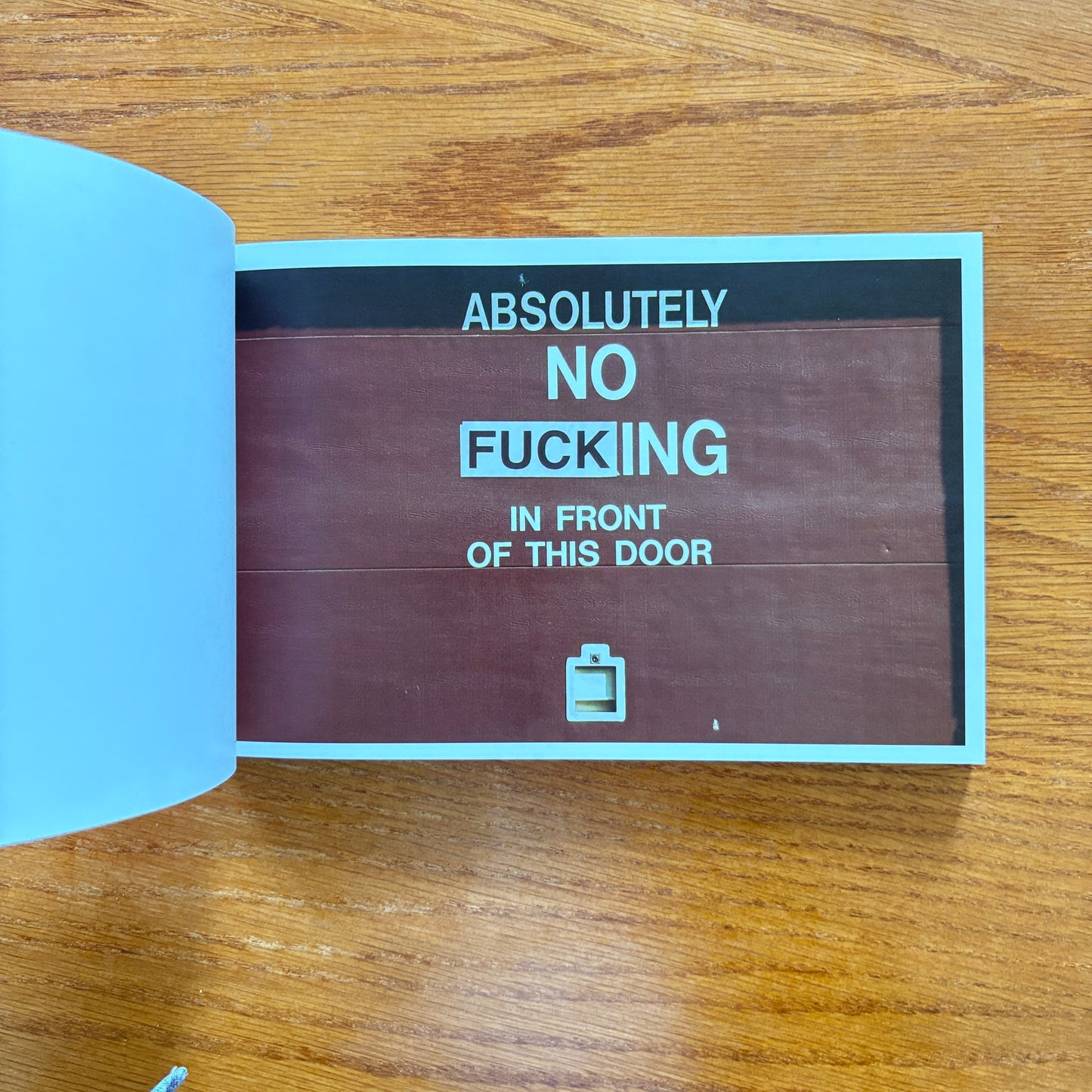 FUCK This Book - Bodhi Oser
