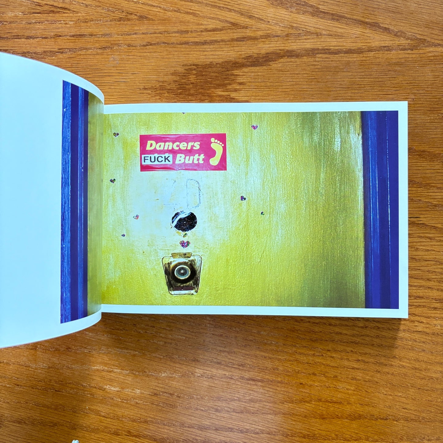 FUCK This Book - Bodhi Oser