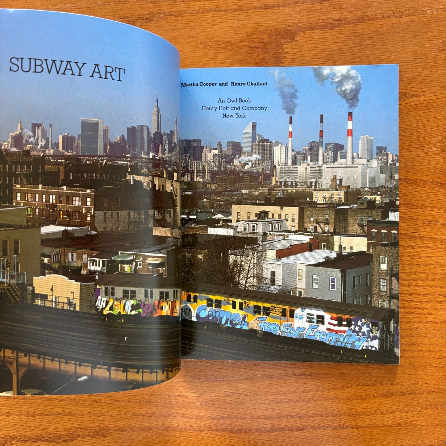 Subway Art by Henry Chalfant and Martha Cooper