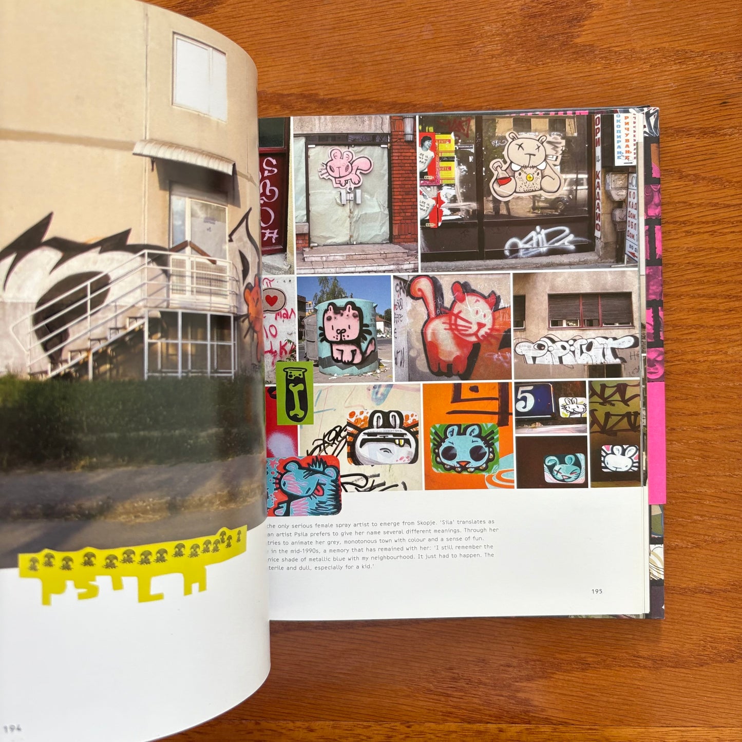 Graffiti Women: Street Art From Five Continents - Nicholas Ganz