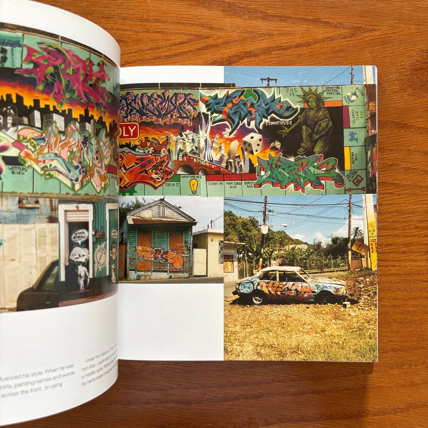 Graffiti World: New Edition - Nicholas Ganz