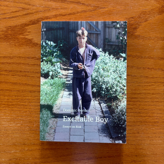 Excitable Boy: Essays on Risk - Dominic Gordon