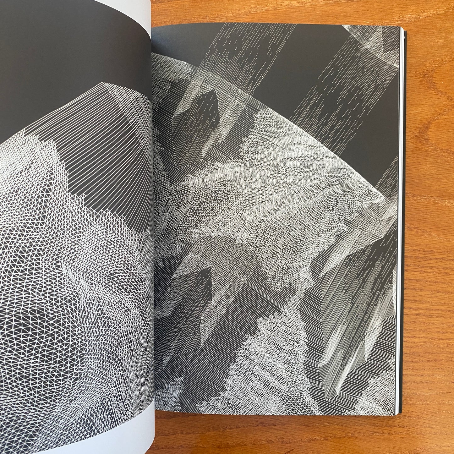 Juxtapoz: Black & White Book