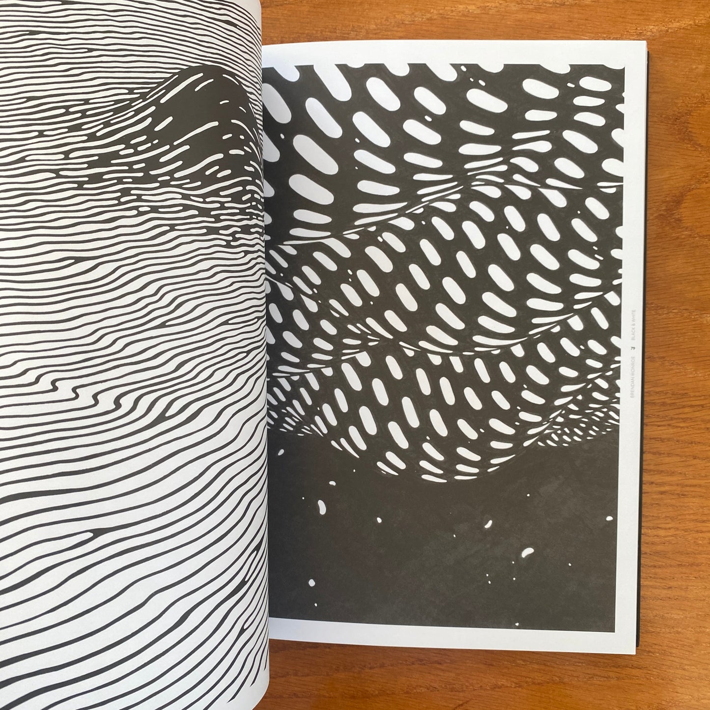 Juxtapoz: Black & White Book