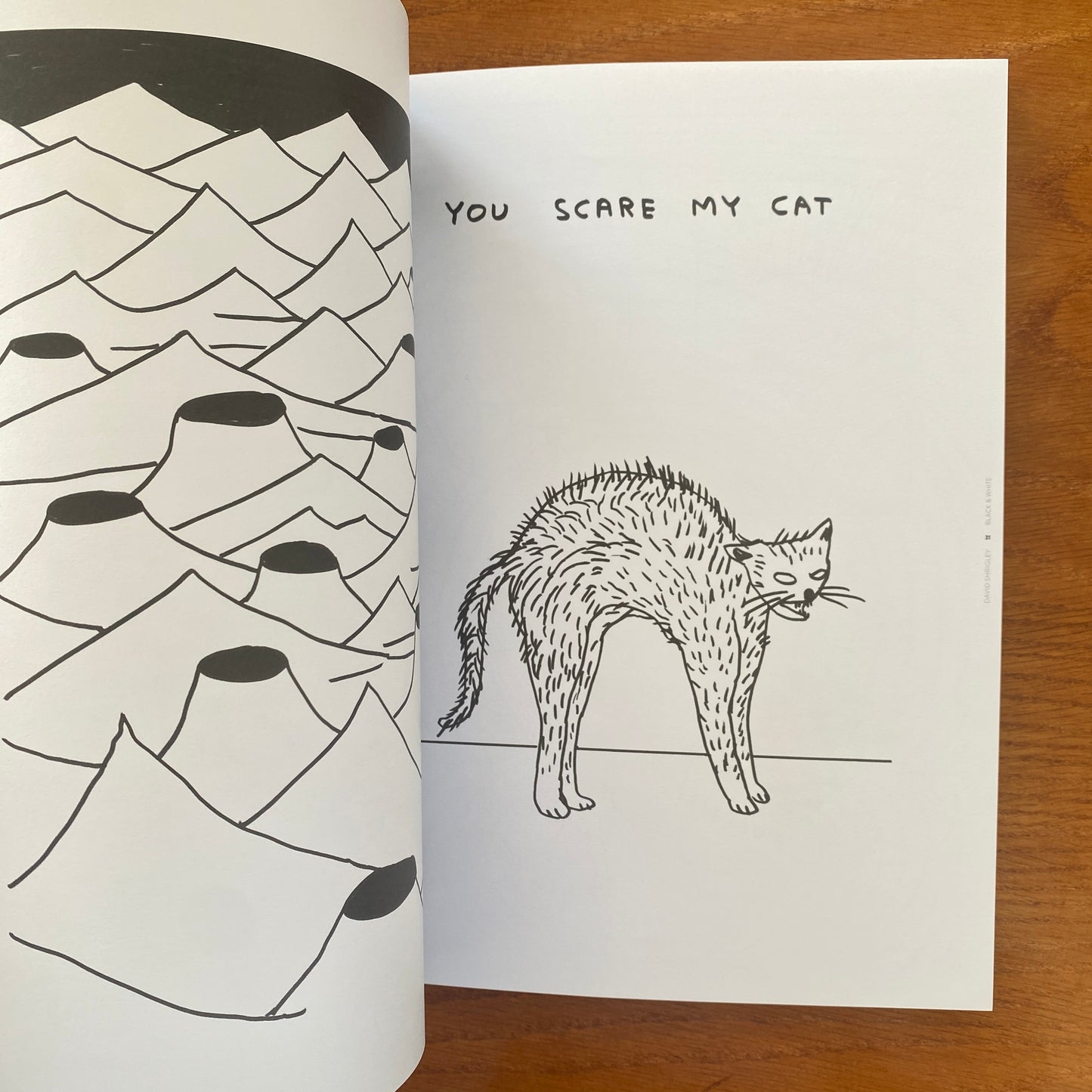 Juxtapoz: Black & White Book