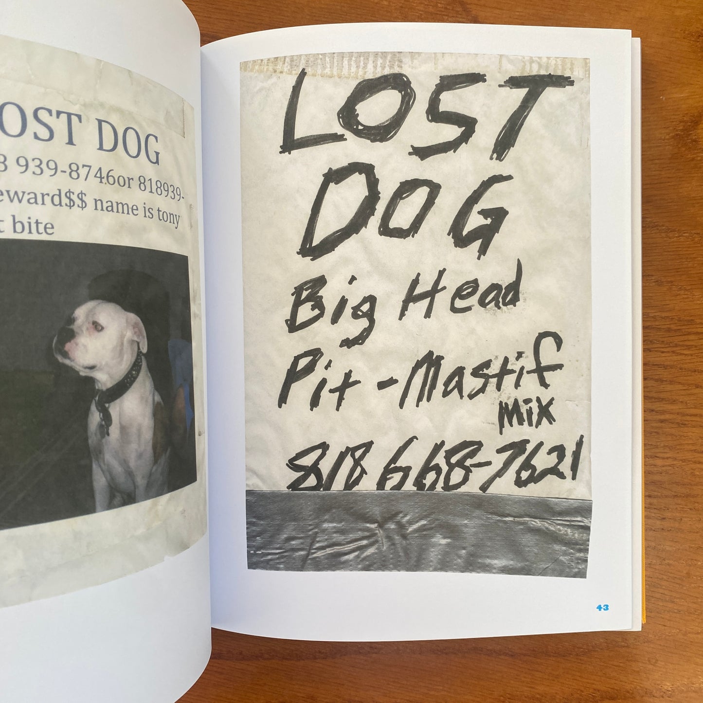 Still Missing: the Folk Art of Pet Posters - Giordano Castranova