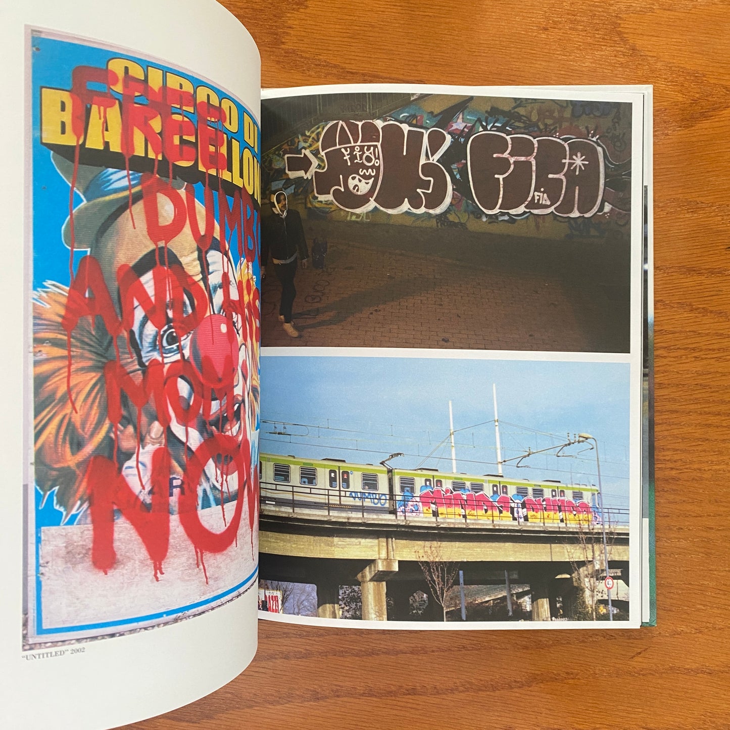 Dumbo: Acts Of Vandalism and Stories of Love