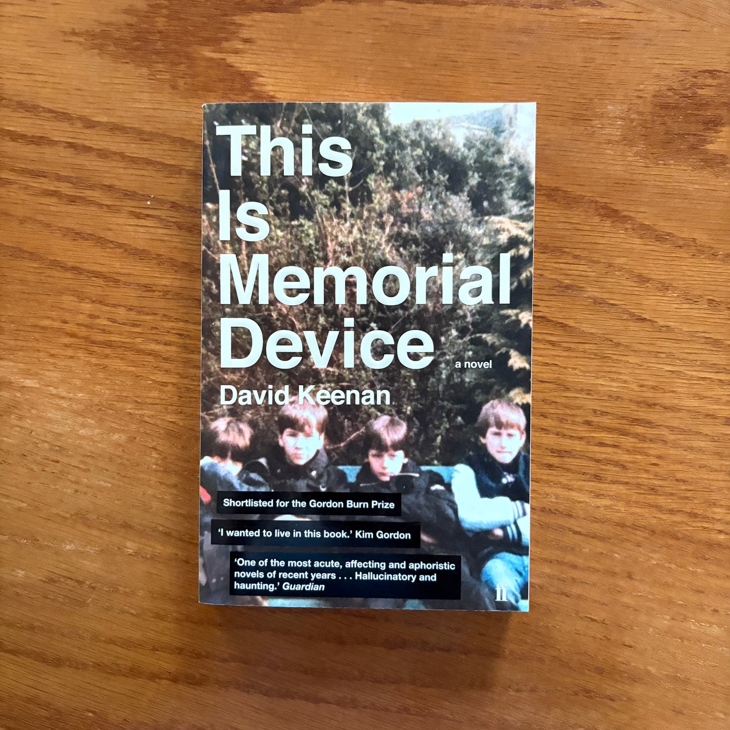 This Is Memorial Device - David Keenan