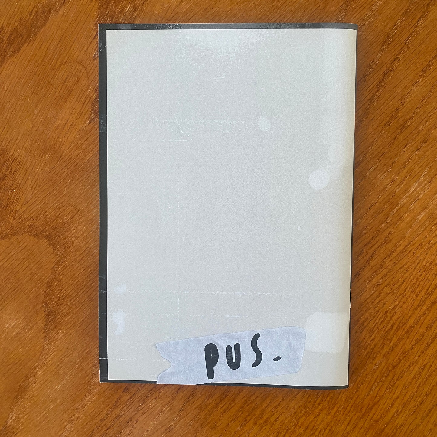 PUS 3