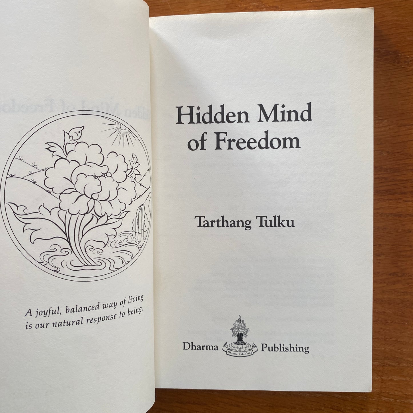 Hidden Mind of Freedom - Tarthang Tulku