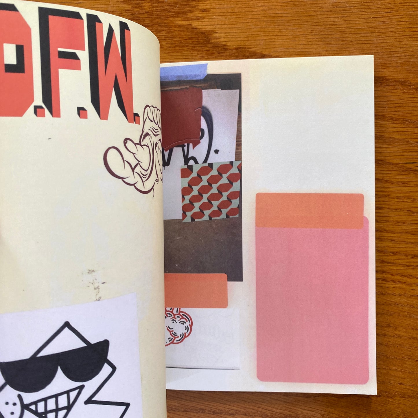 D.F.W Ray Fong - Barry Mcgee / Twist PAM Book