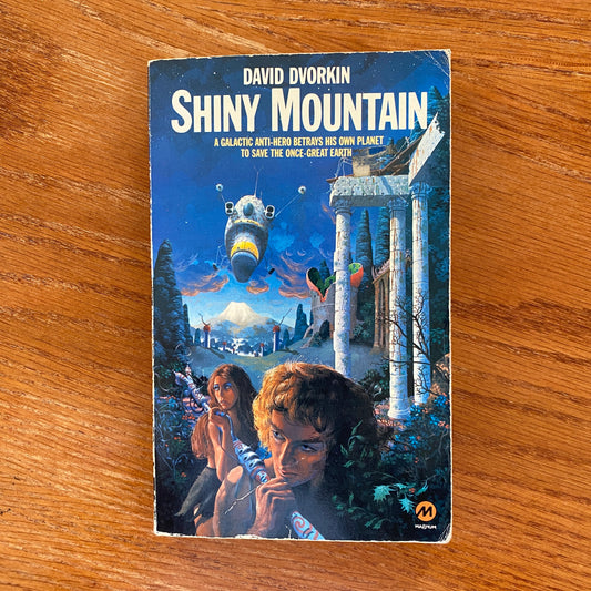 Shiny Mountain - David Dvorkin