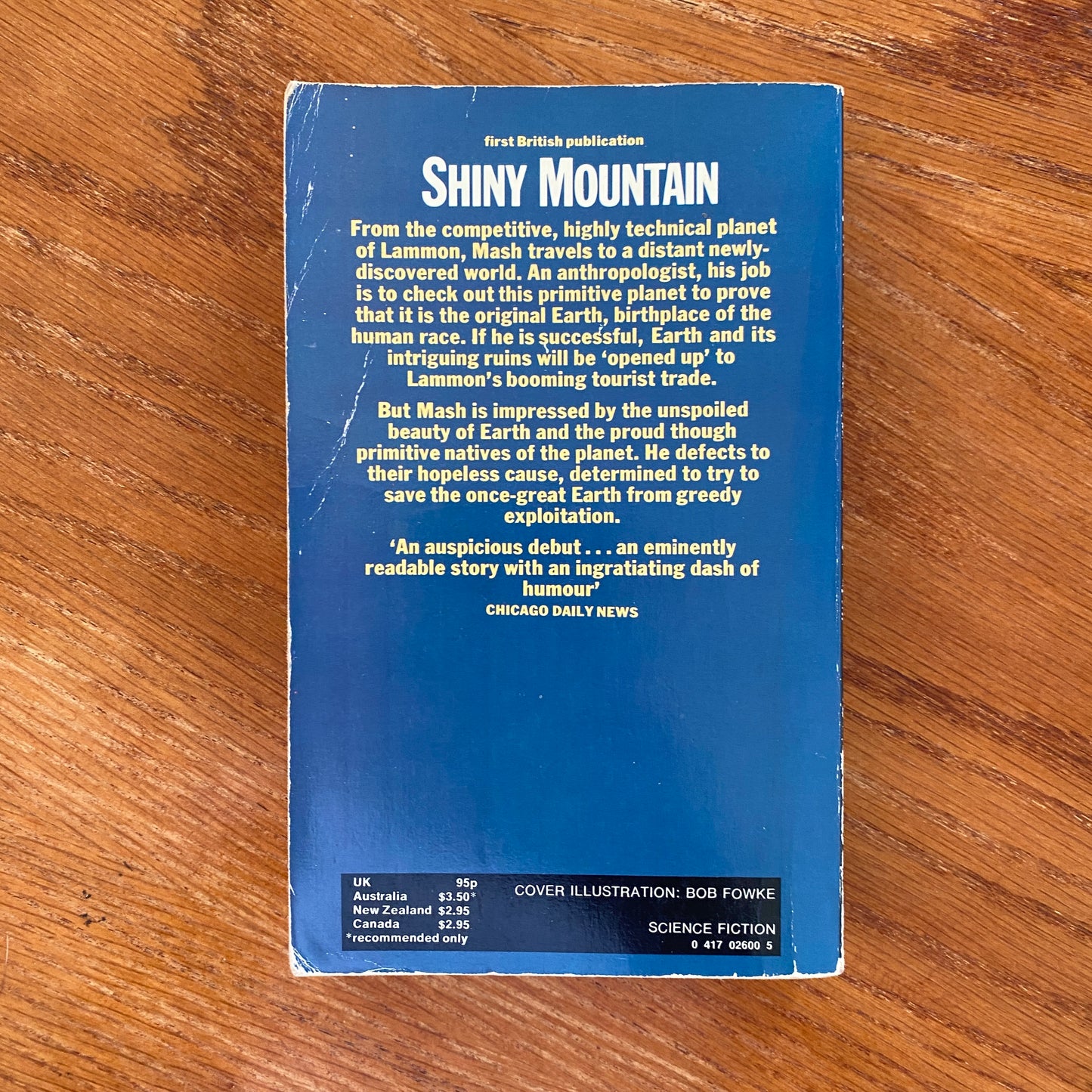 Shiny Mountain - David Dvorkin