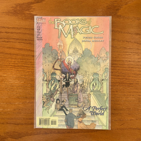 Books of Magic 55