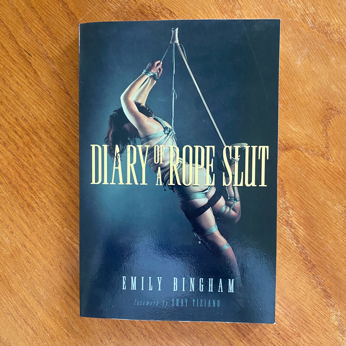 Diary Of A Rope Slut - Emily Dingham