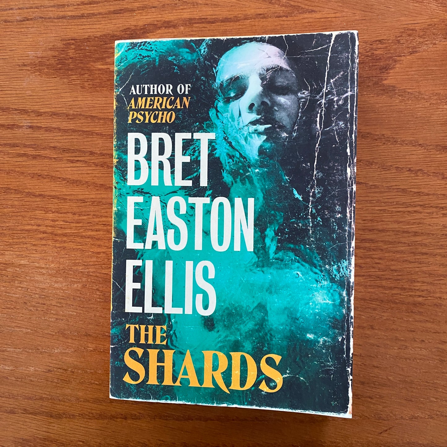 Bret Easton Ellis - The Shards