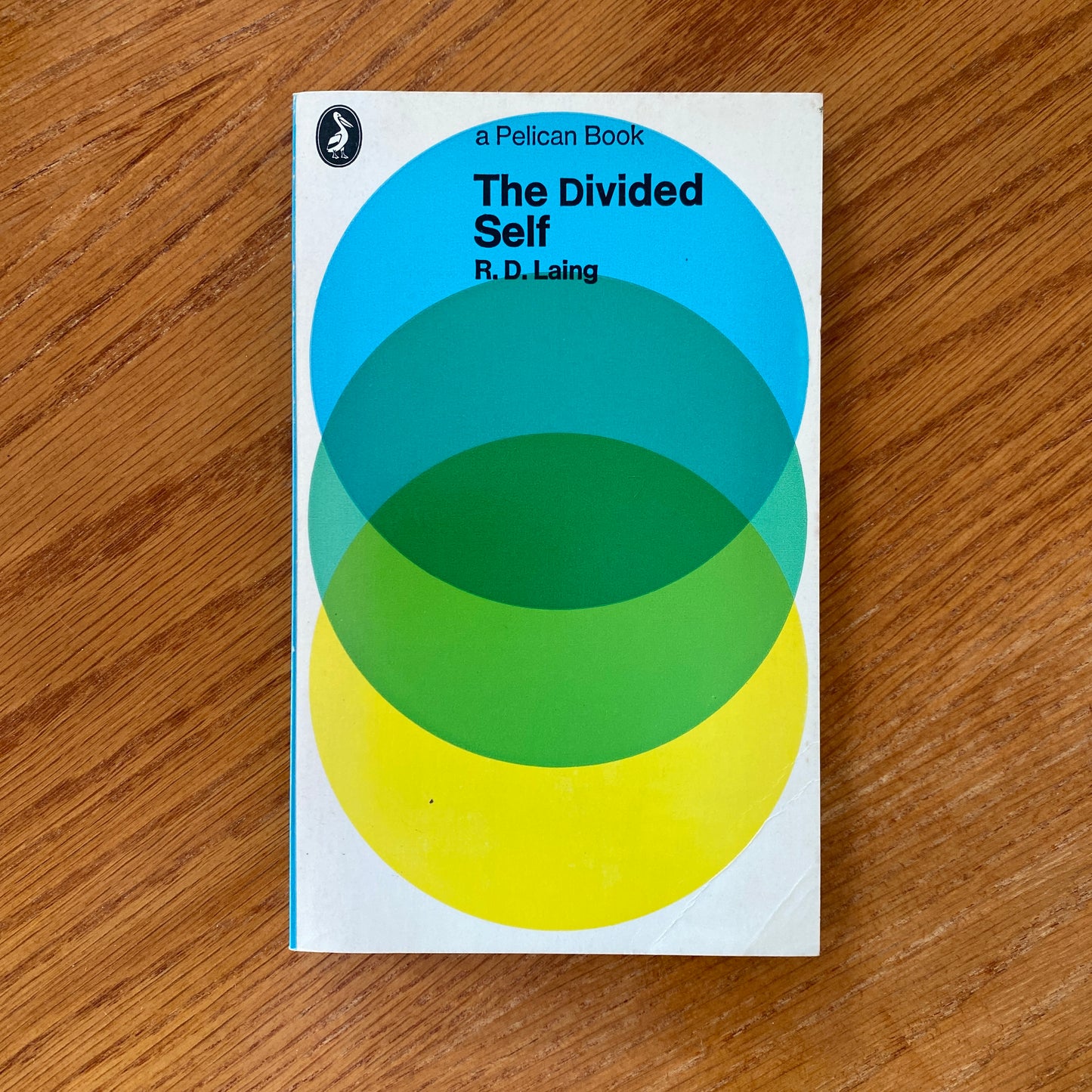 The Divided Self - R. D. Laing