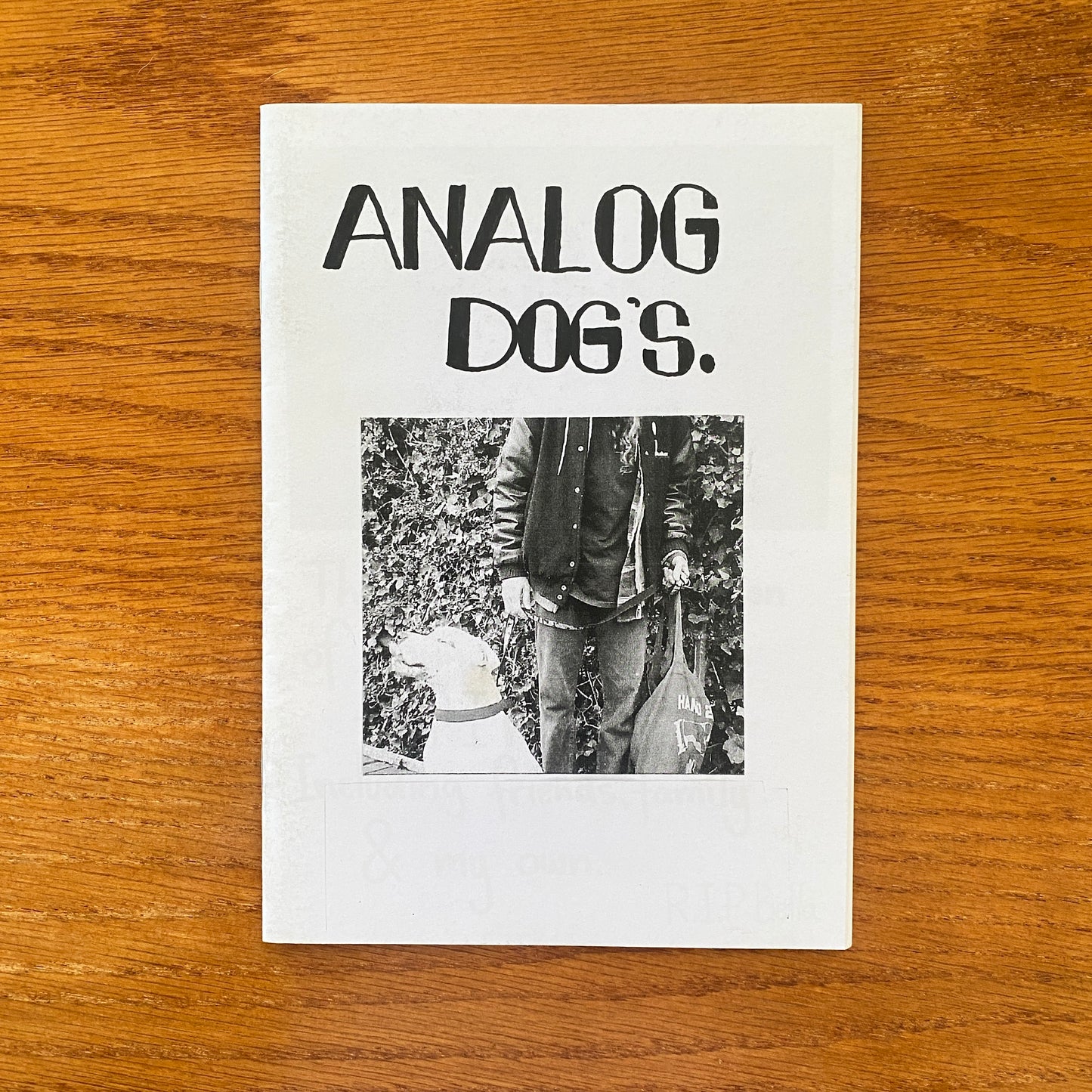 Analog Dogs