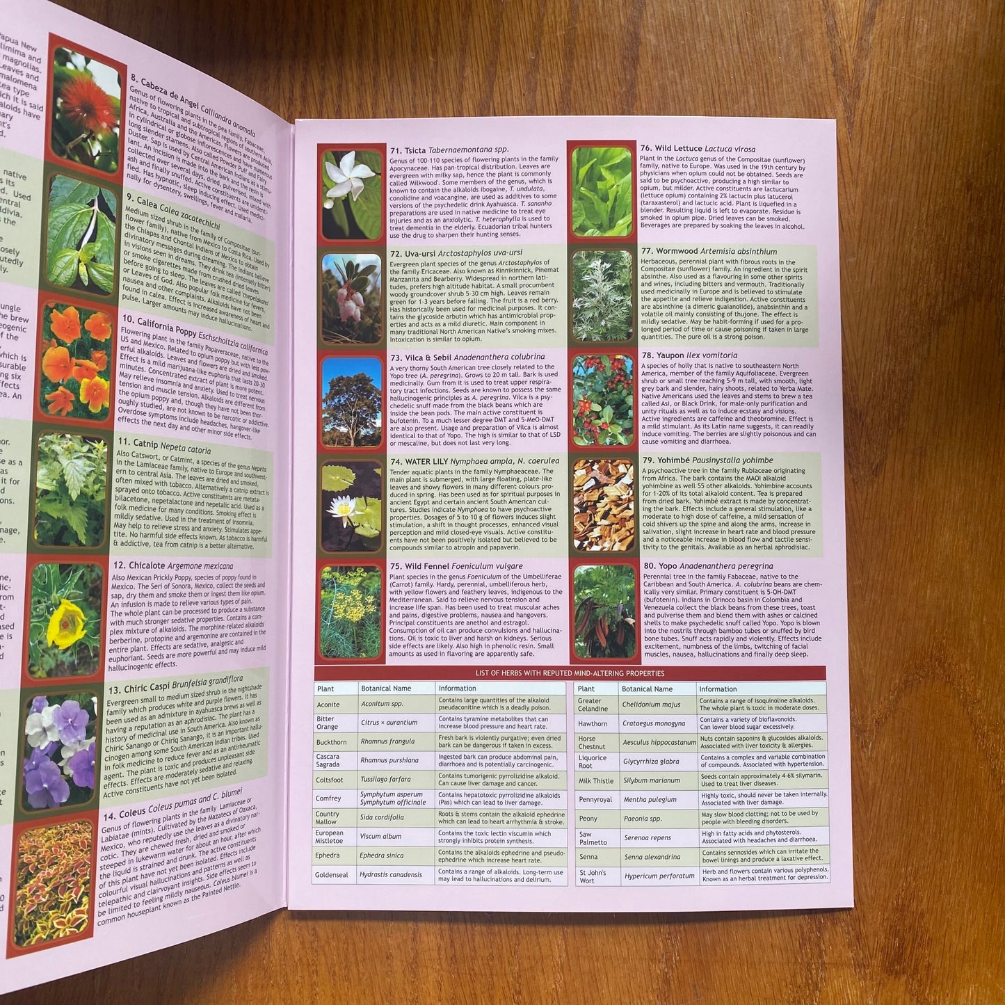 Hallucinogenic Plants Guide - Stefan Mager⁣