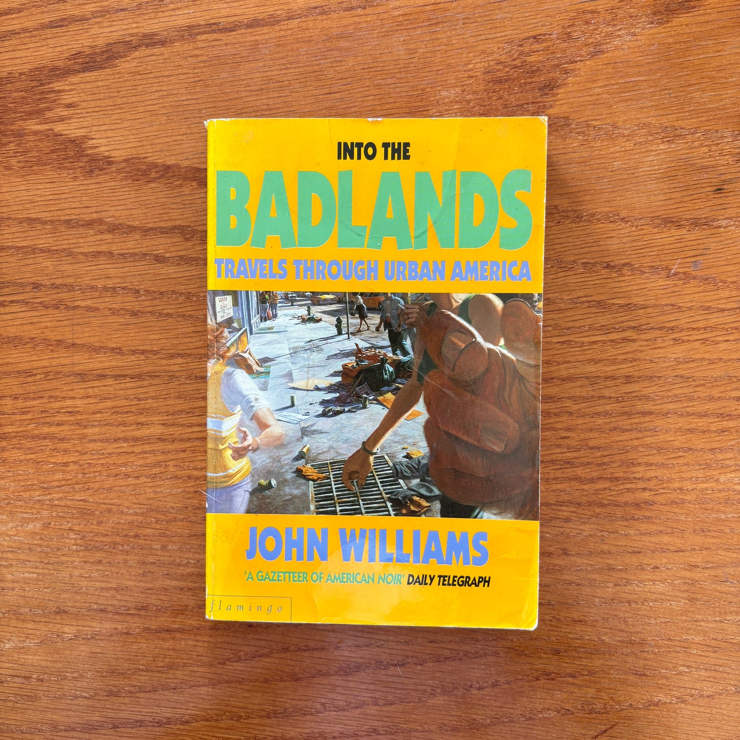 Into The Badlands: Travels Through Urban America - John Williams