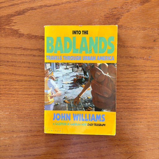 Into The Badlands: Travels Through Urban America - John Williams