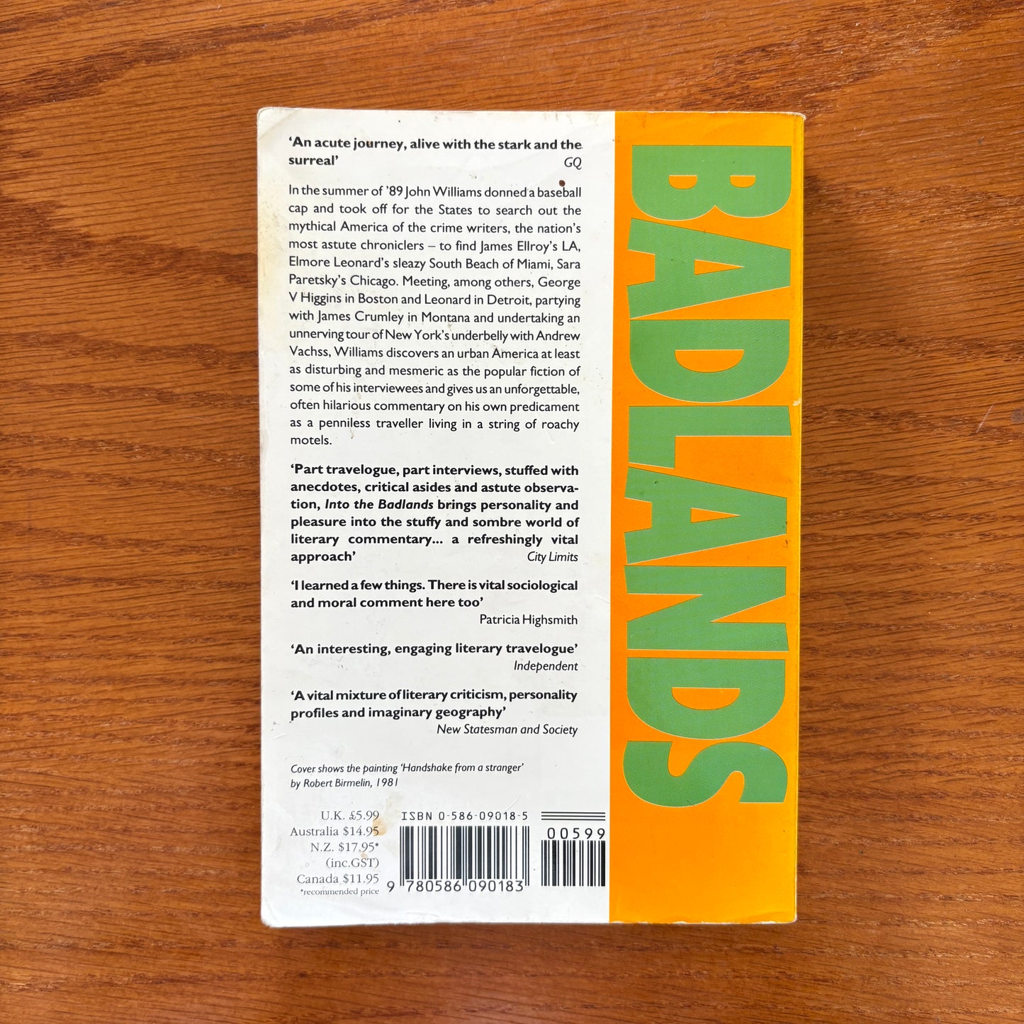 Into The Badlands: Travels Through Urban America - John Williams