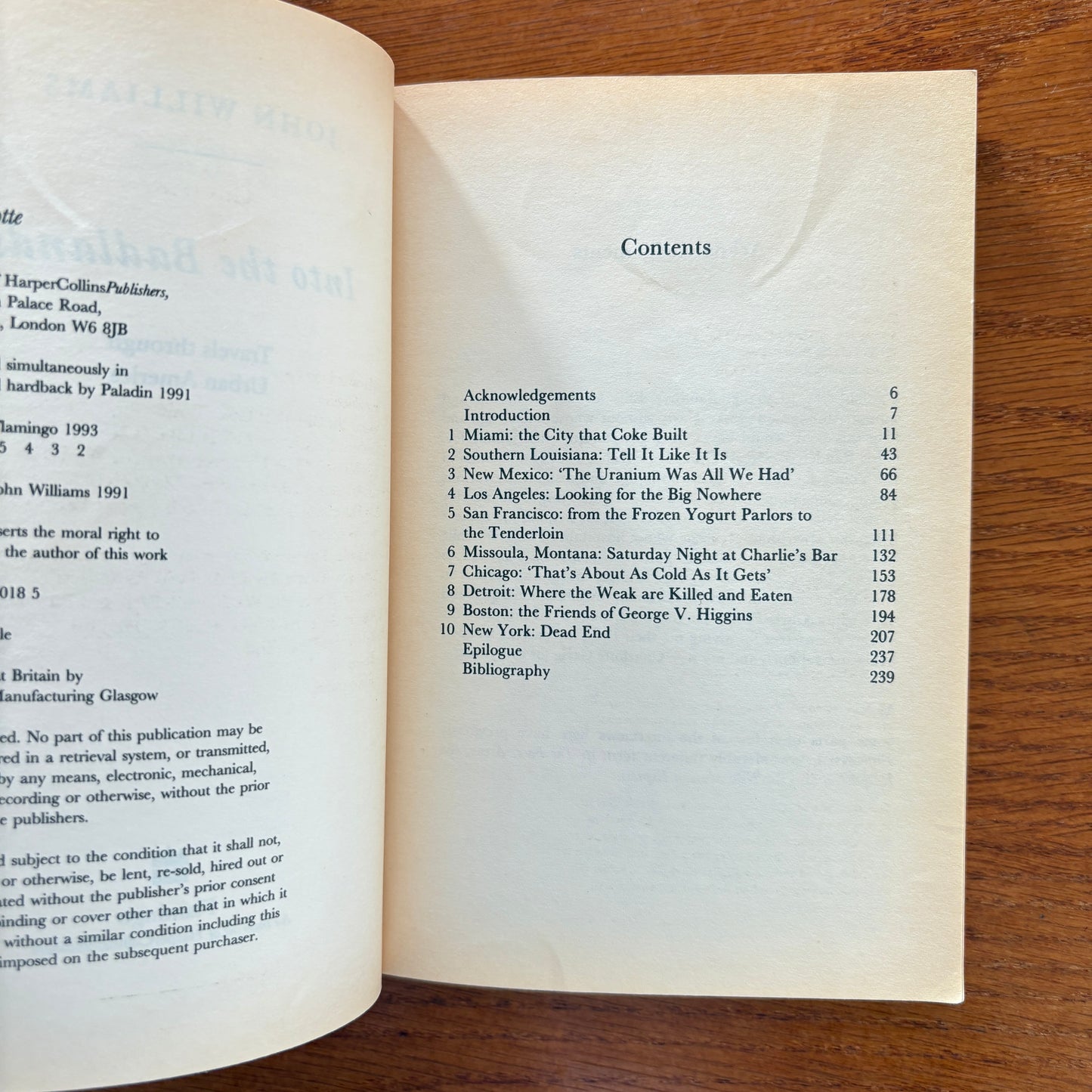 Into The Badlands: Travels Through Urban America - John Williams