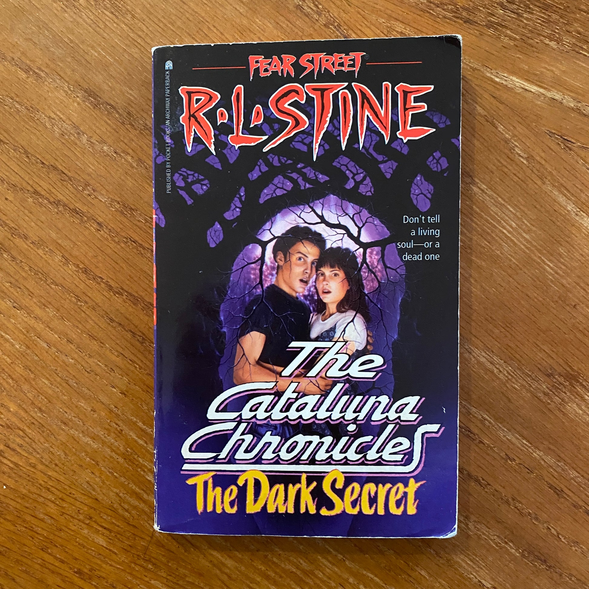 R.L Stine - Fear Street The Catalina Chronicle: The Dark Secret