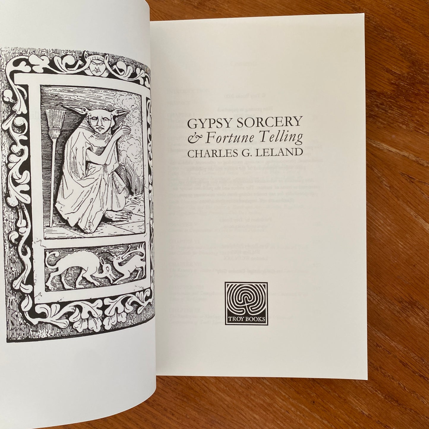 Gypsy Sorcery and Fortune Telling - Charles G. Leland