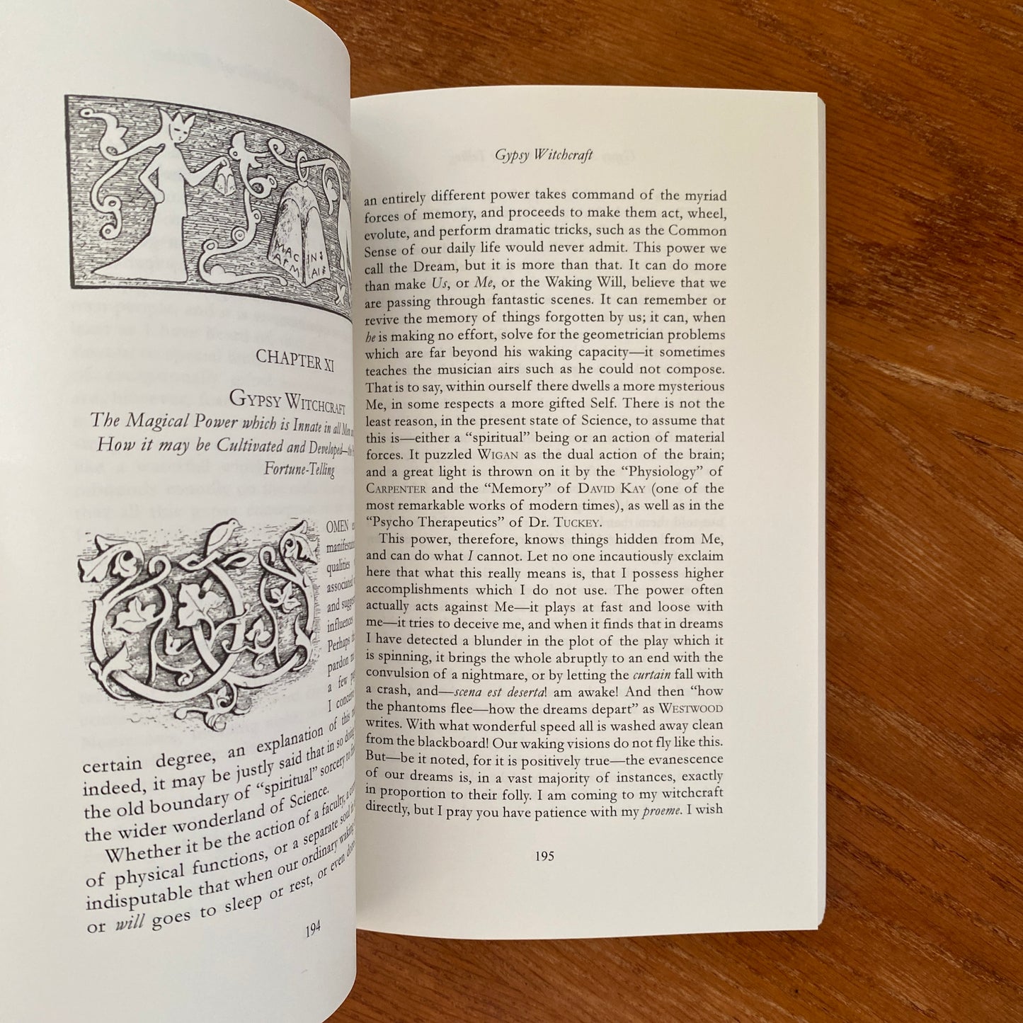 Gypsy Sorcery and Fortune Telling - Charles G. Leland