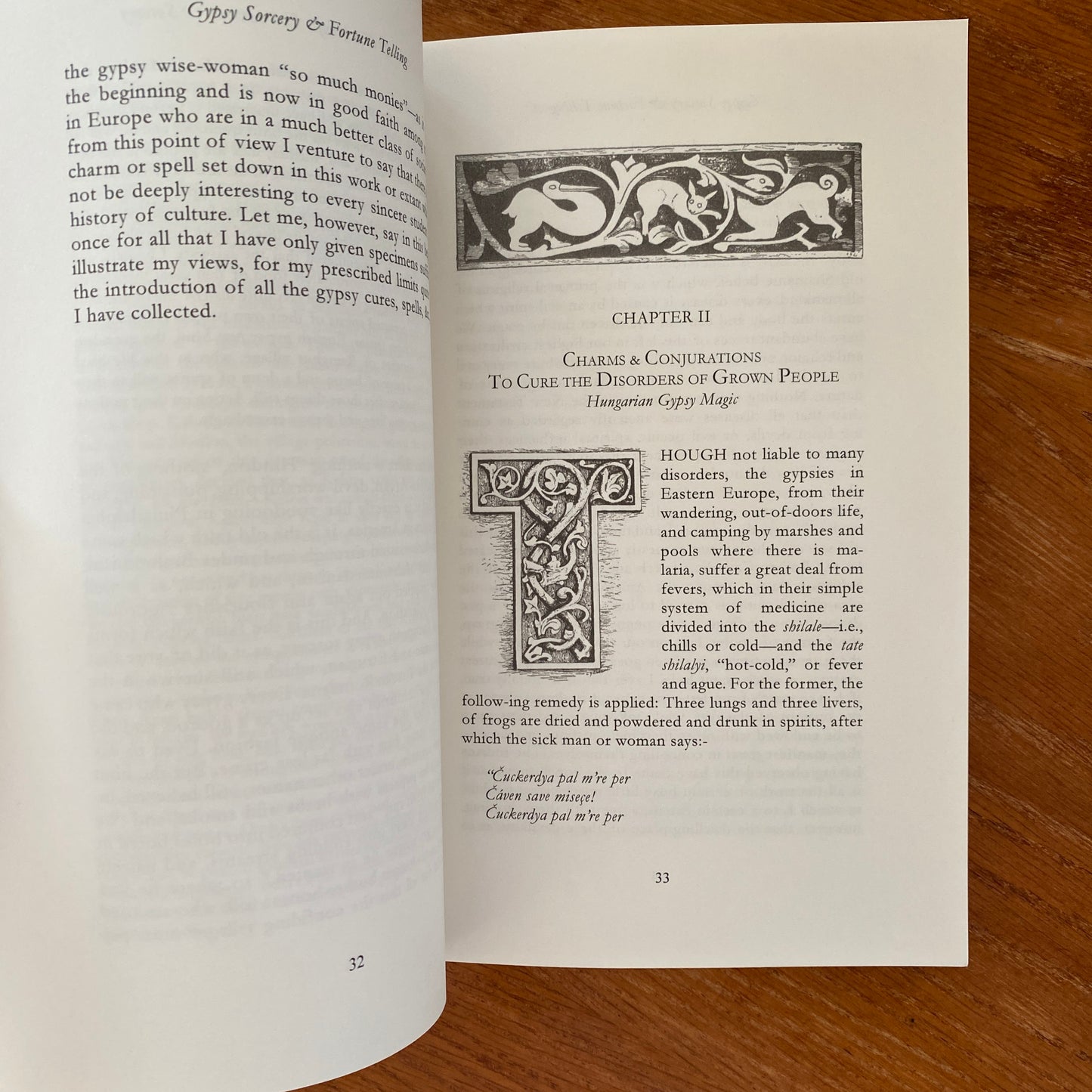 Gypsy Sorcery and Fortune Telling - Charles G. Leland