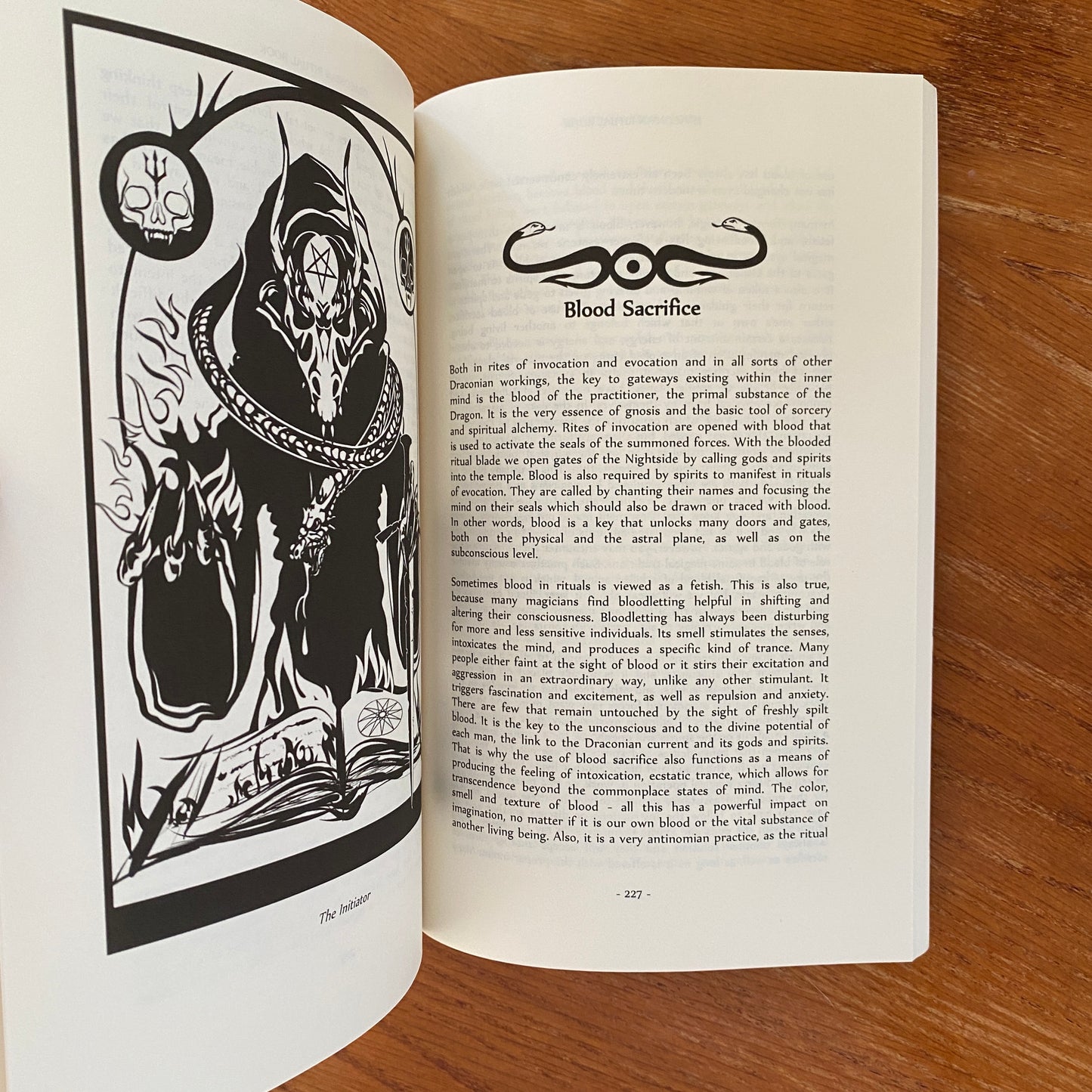 Draconian Ritual Book Paperback - Asenath Mason