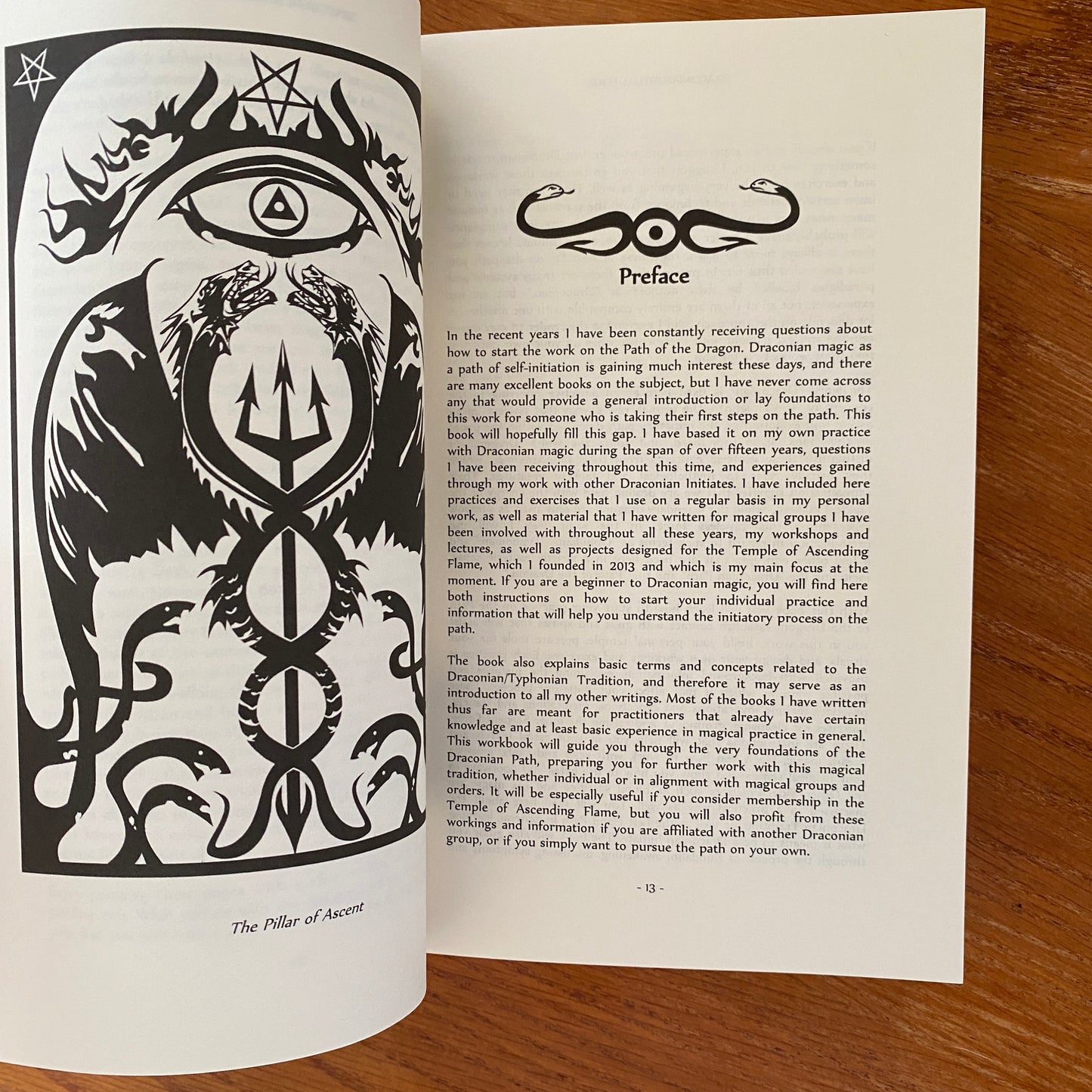 Draconian Ritual Book Paperback - Asenath Mason