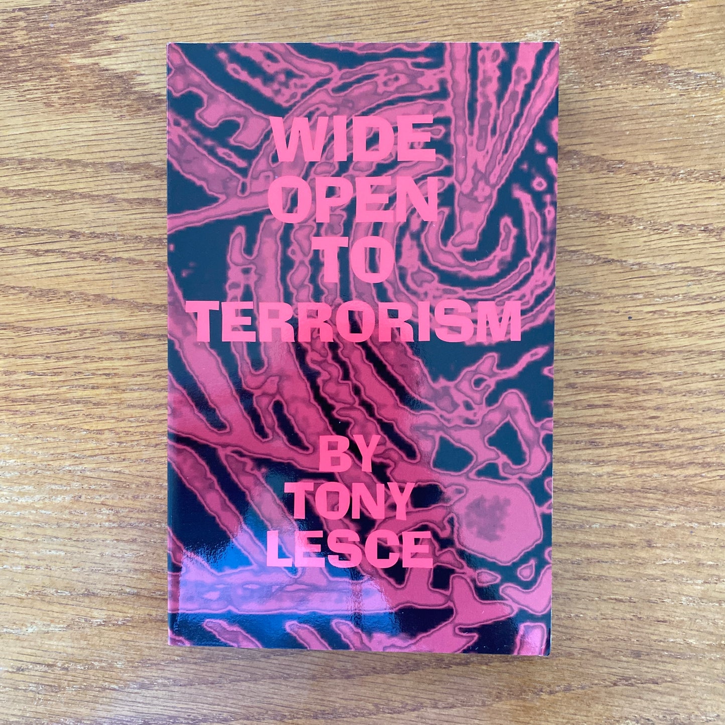 Wide Open to Terrorism - Tony Lesce