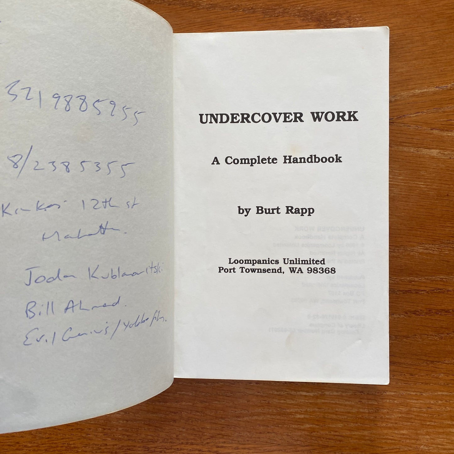 Undercover Work - Burt Rapp
