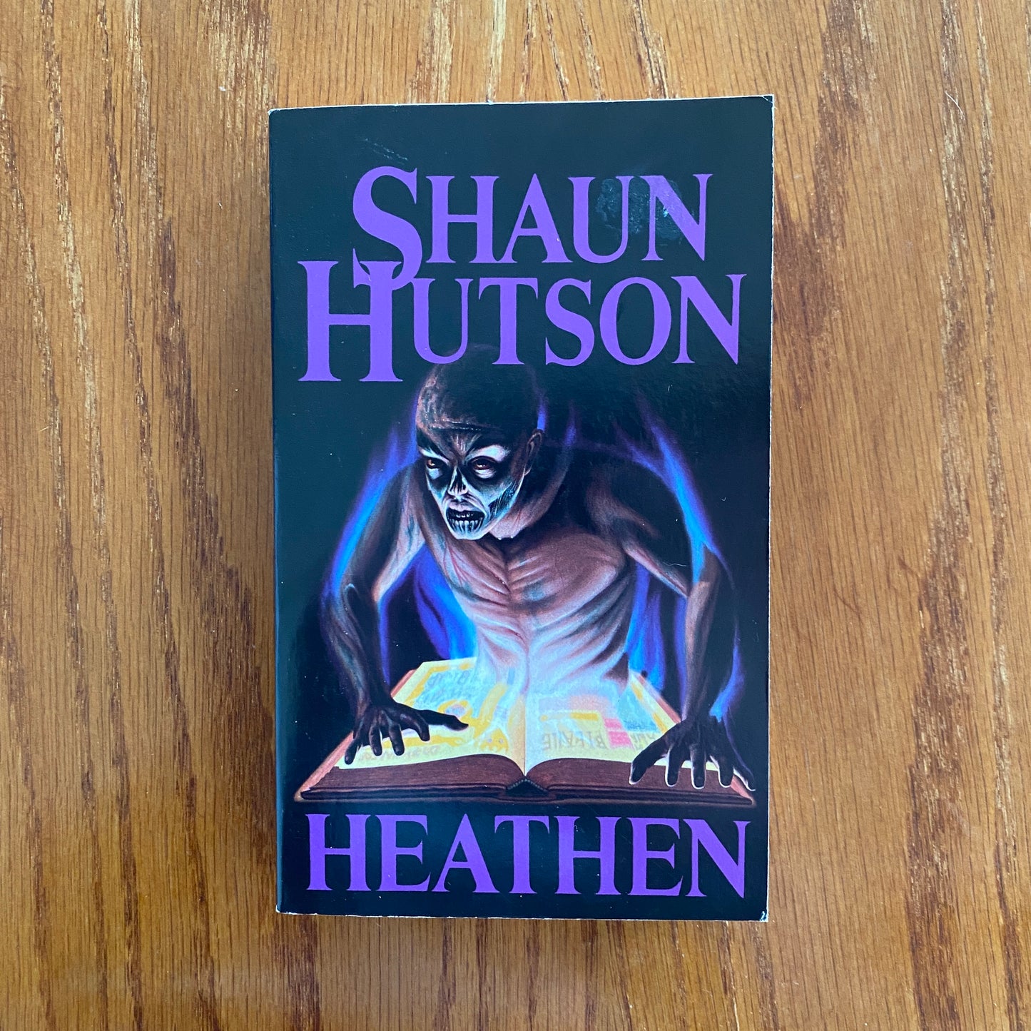 Shaun Hutson - Heathen