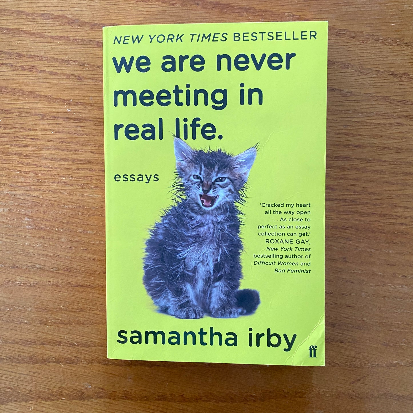 We Are Never Meeting In Real Life - Samantha Irby