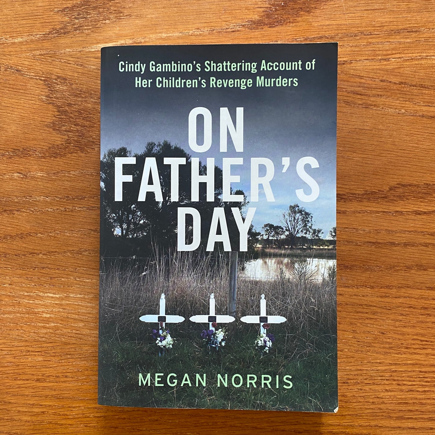 On Fathers Day - Megan Norris